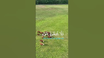 دقيقه من وقتك للقرآن الكريم #القرآن_الكريم