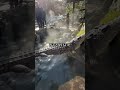 ※ここ、ワニ出ます🐊(注:ワニ = 女性をじっと待つ下心強めな男性たちのことw)獲物(女性)が湯船に現れるのを、首まで浸かってじーっと待つ男性たちのこと#混浴 #秘湯 #秘湯巡り #shorts