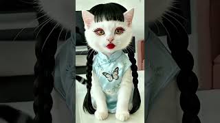 ลงมาเลย #hahaha #funny #comedy #cat