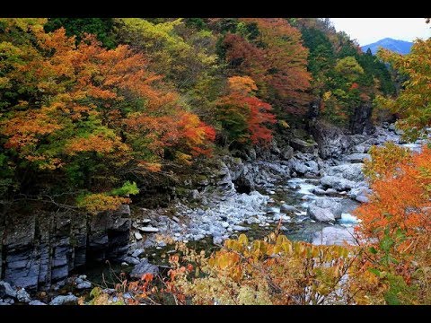 奈良紅葉スポット 山々の紅葉は圧巻 みたらい渓谷コース Youtube