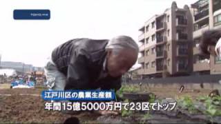 23区で初めて　江戸川区直営農園、種まきオープン