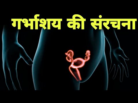 वीडियो: गर्भाशय कहाँ से आते हैं?