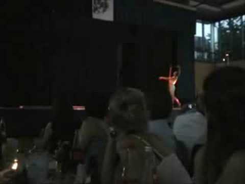 HoGy Abiball 2008 - Evolution of Dance - Part 1