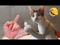 Funniest Animals 2023 😍 New Funny Cats and Dogs 😺🐶 Part 5