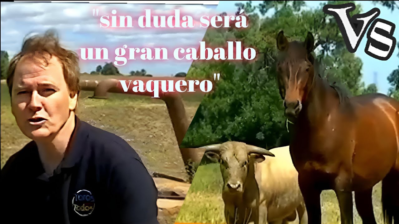 EL POTRO AMIGO DEL TORO BRAVO