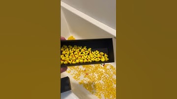 Comment what duck we should do next! 👇#duck #bambu #fyp #3dprinting #bambulab