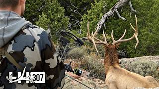 Chasing BIG Bulls!!! | Archery Bull Elk Hunting | 4K Hunting Film