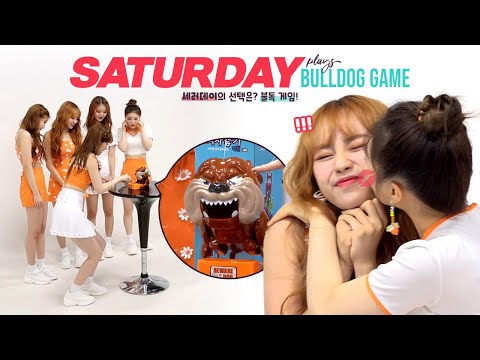 [Pops in Seoul] DBDBDIB~♬ Today&amp;#39;s game♟ for SATURDAY(세러데이) - &amp;#39;Bulldog game!!🐶&amp;#39;