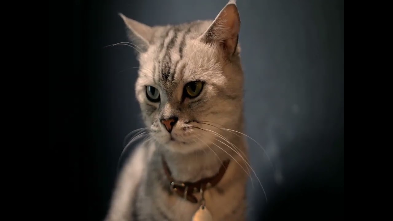 Giant Crossword Puzzle