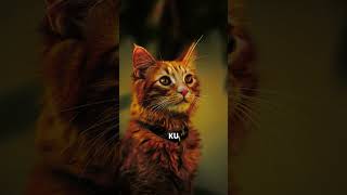 Takdir Baik Dari Tuhan #berandafypシ #beranda #shortvideo #liriklagu