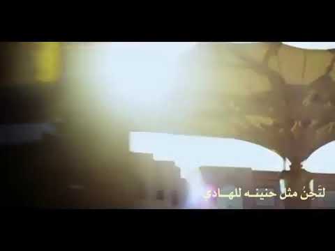 حالات واتس أب عن الرسول عليه الصلاة والسلام قولو لذاك الجذع