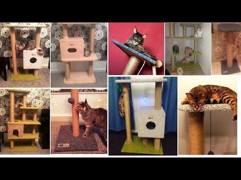 Когтететочка своими руками, сборка комплекса для кота. Когтеточки Мяу Meow Когтететочка своими руками, сборка комплекса для кота. Когтеточки Мяу Meow