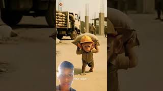 Aiola Bandar Ke Short Video