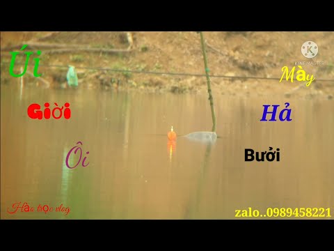 Câu Lục..1 Ca Câu .. Quấn Ô Toàn Bong...