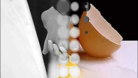 Flash Image Transition1.flv