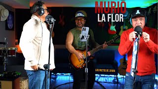 Murio la flor
