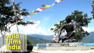 Buddha statue at Badamtam Tea Estate, Darjeeling