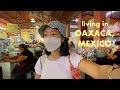 OAXACA, MEXICO JAN 2022 TRAVEL VLOG - cafe hopping, Tlacolula Market, and my daily routine 🇲🇽