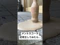 メントスコーラを逆再生してみた