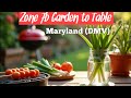 Zone 7b Garden to Table: What I Harvested & Made for Dinner