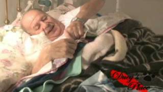 Cat Sleeps With Her Master (A Love Story)