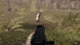When theHunter Classic Shuts Down: Building My Own Hunting Simulator (v0.1.0)