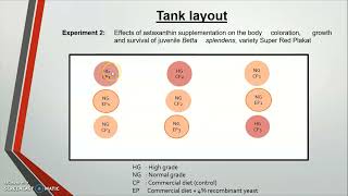 PROGRESS PRESENTATION - FYP 2(SQ40106)