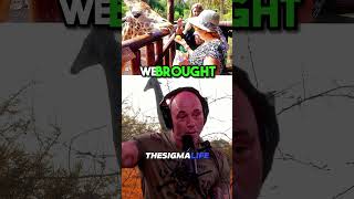 Why Giraffes are Happy to Live in a Zoo - Joe Rogan