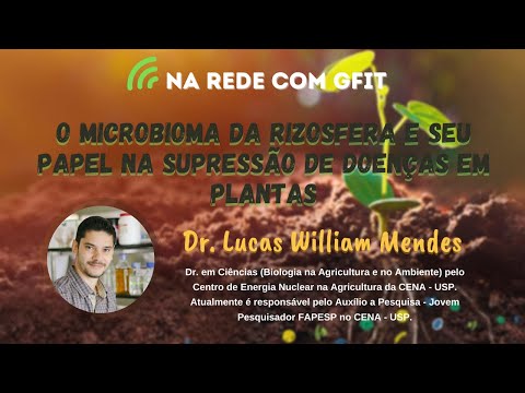 Vídeo: Avaliação Da Metanotrofia E Fixação De Carbono Na Produção De Biocombustíveis Por Methanosarcina Acetivorans