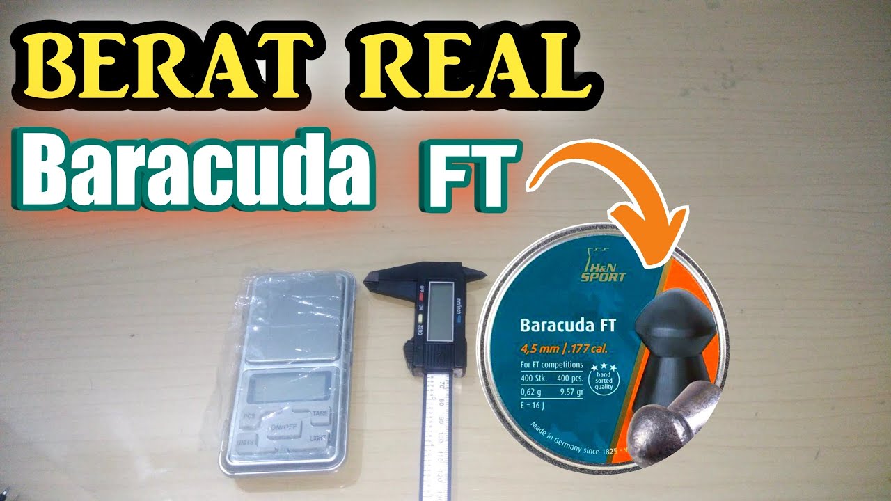 BERAT REAL BARACUDA FT‼️