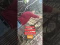 Bear Abused and FORCED to Drink Coke! (Undercover Footage) #animals #bears