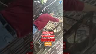 Bear Abused and FORCED to Drink Coke! (Undercover Footage) #animals #bears