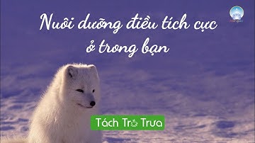 Nuôi Dưỡng Điều Tích Cực Ở Trong Bạn | Inner Space
