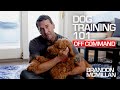 Dog Training 101: Off Command | Brandon McMillan