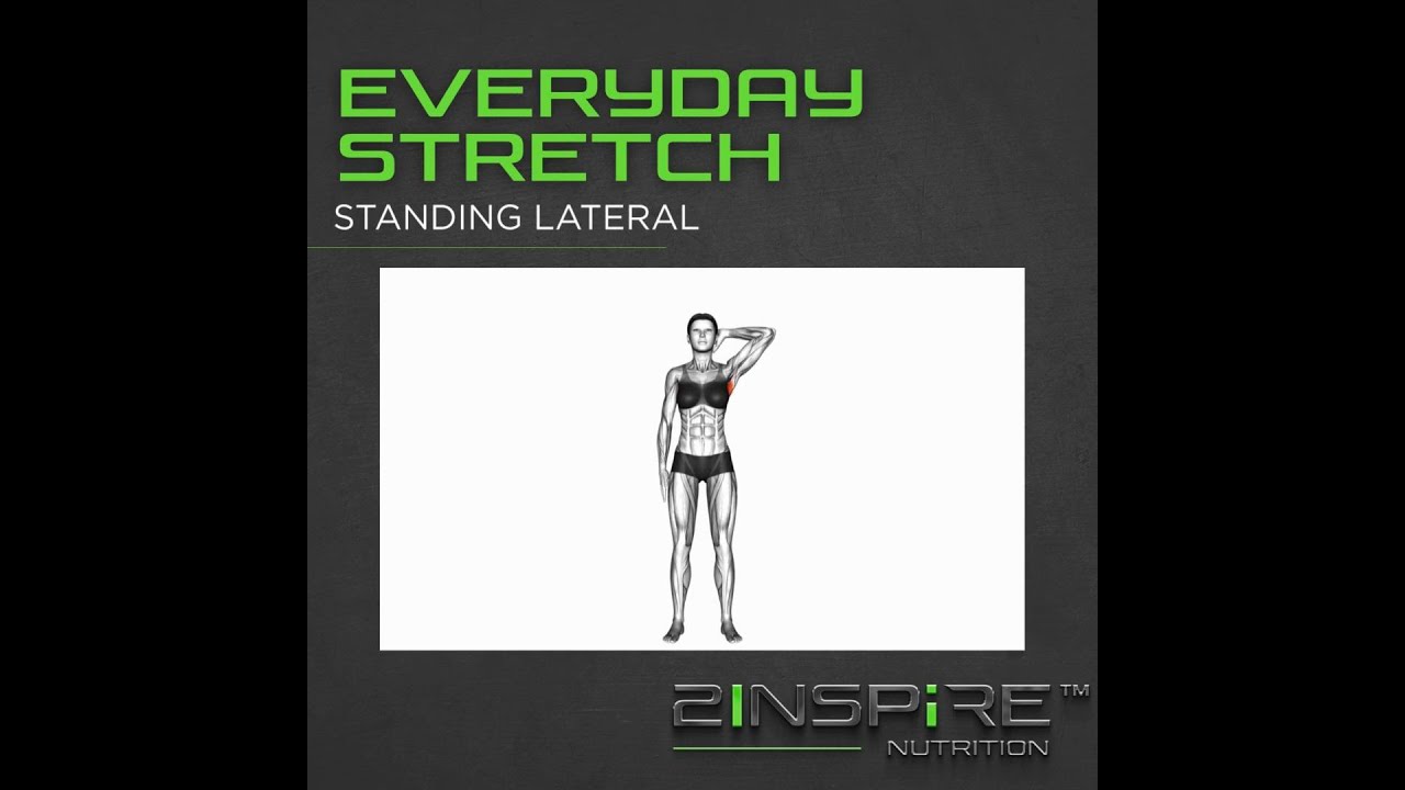 EVERYDAY EXERCISE: STANDING LATERAL, ELBOW BACK, DYNAMIC BACK, DUMBELL STIFF LEG