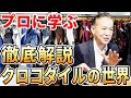 クロコダイル革の勉強会!ポロサスは何故高いのか?良い革の特徴や見分け方を徹底解説!