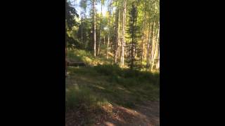 IMG 8877(cabin)
