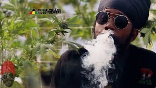 Ras Attitude - Marijuana (We Ah Bun) [ Video 2016]