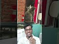 দারুন একটা ফানি দৃশ্য #video #funny #shorts #cat #cats #funnyvideos #ytshorts