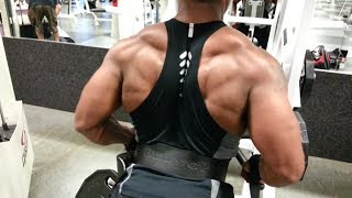 High Volume Back & Traps Training