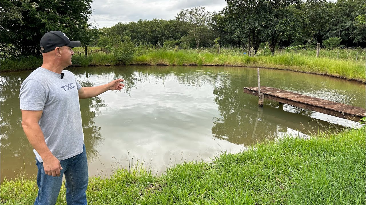 QUANTO GASTEI E COMO FIZ UM LAGO CHEIO DE PEIXES NO SÍTIO?