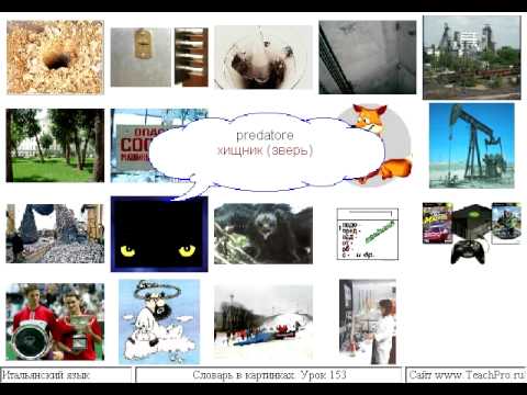 Урок 153 Слова на p
