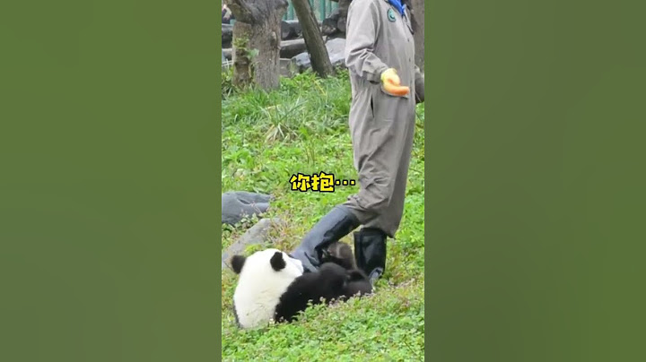 #国宝#大熊猫 ：呜呜呜…奶妈 我不是你的小宝贝了吗？ #歌曲痛点