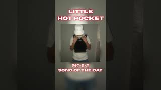 Pic-E-z - Song of the Day (Little Hot Pocket)
