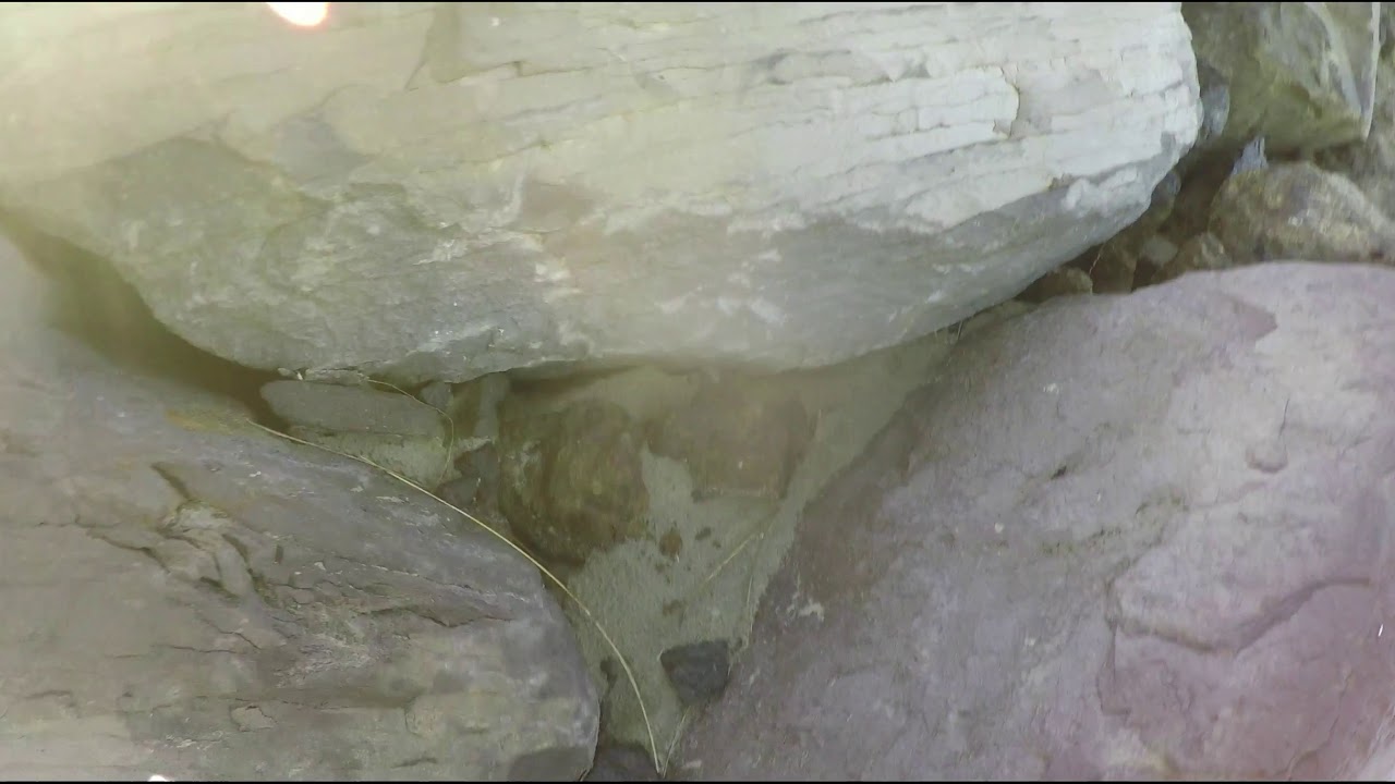 Jetty Fishing Newport Oregon 2019 YouTube