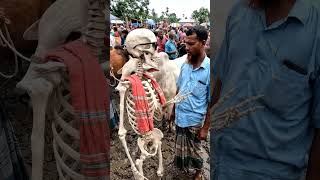 Skeleton Short #funny #viral