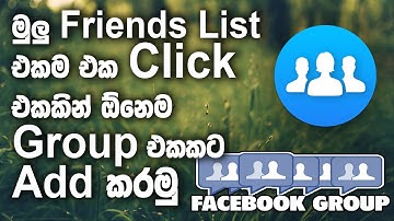 How to add All Facebook Friends to group in one click | FSN