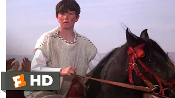 The Black Stallion Returns (1983) - Winning The Race Scene (11/12) | Movieclips