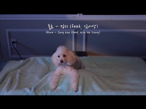홀로 - 정키 (feat. 김나영) 라이브 커버