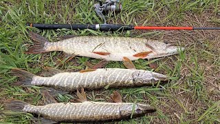 Открытие спиннингового сезона на реке Чусовая отчёт о рыбалке на реке Канава 22 05 2022 